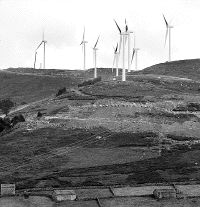 Aprobado el Plan Energético, que apuesta por las fuentes renovables