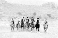 Una imprescindible colección en DVD del mejor 'western'