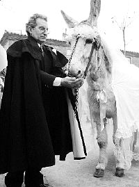 ZAMORA / Se casa con una burra al celebrar San Antón