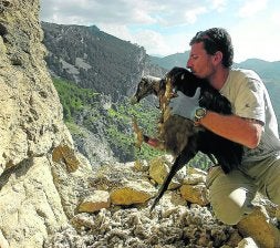En la sierra de Cazorla también se han soltado crías. / DM