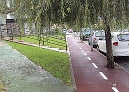 Árboles y farolas ocupan el nuevo carril bici de Guarnizo