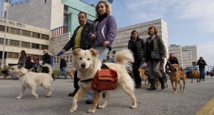 Los miembros de la asociación Huellas Cantabria se manifestaron el pasado fin de semana contra la subida de las tasas. ::                             DANIEL PEDRIZA