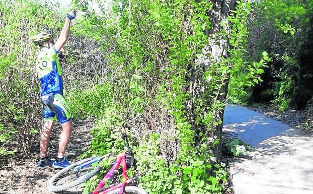 Un aficionado retira la trampa colocada en una ruta ciclista próxima al Parque del Socayo de Arroyo de la Encomienda, el martes 30 de abril. 