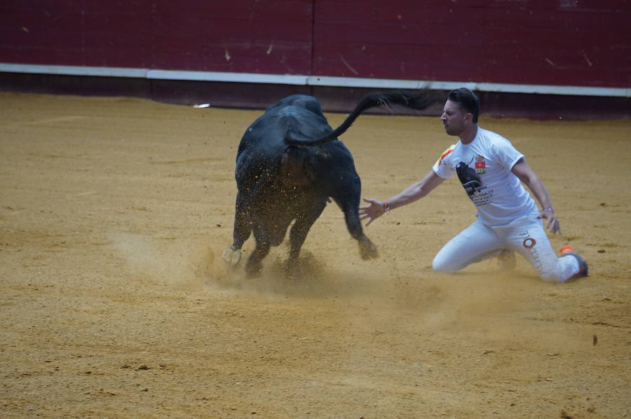 Fotos: Concurso de Cortes de La Flecha