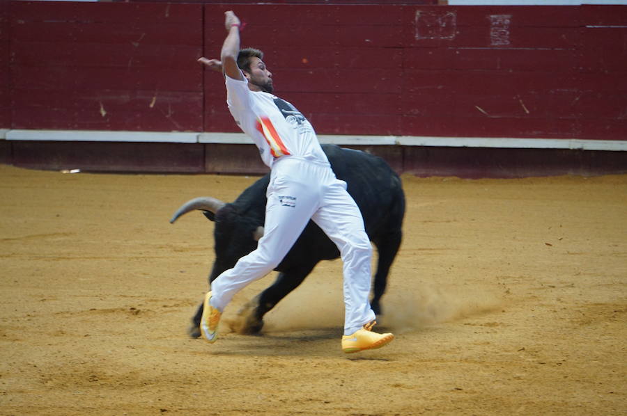 Fotos: Concurso de Cortes de La Flecha