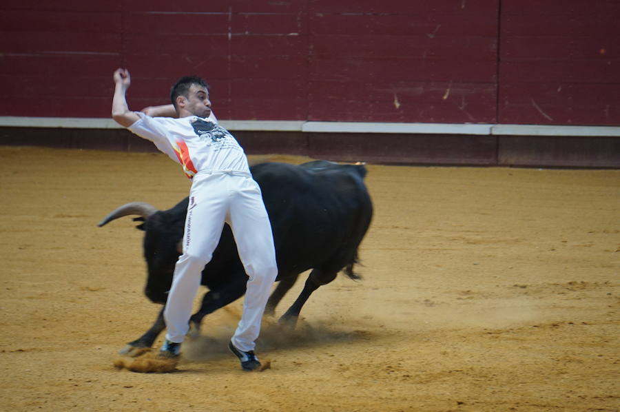 Fotos: Concurso de Cortes de La Flecha