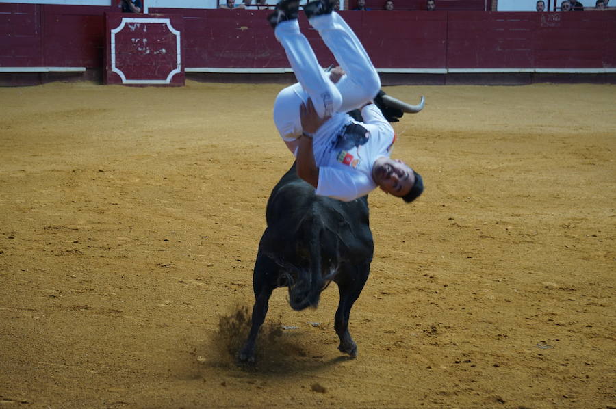 Fotos: Concurso de Cortes de La Flecha