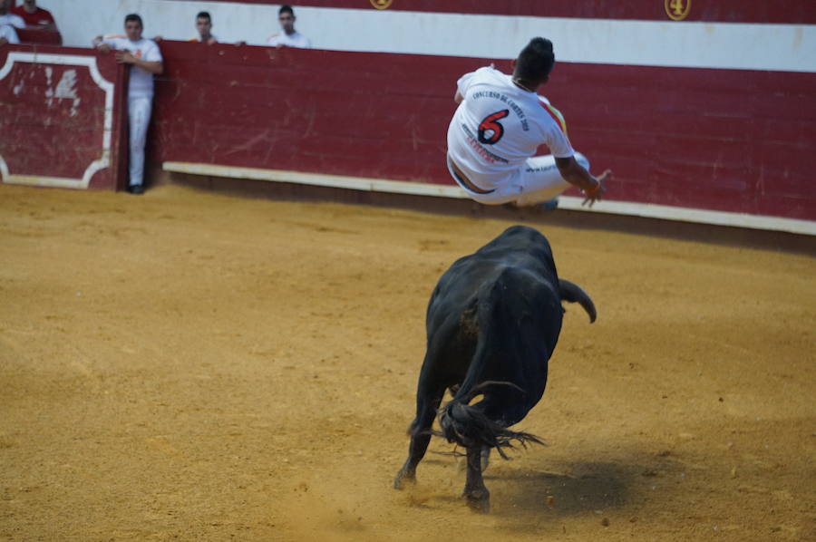 Fotos: Concurso de Cortes de La Flecha