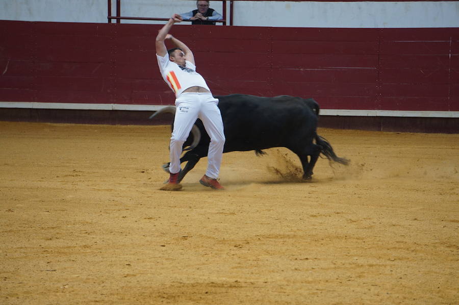 Fotos: Concurso de Cortes de La Flecha