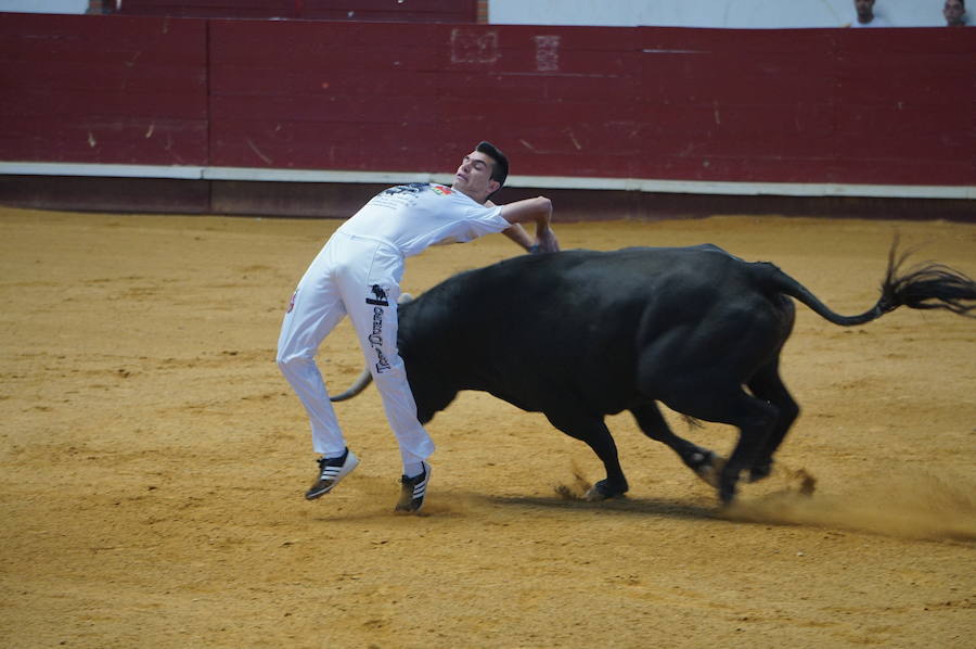 Fotos: Concurso de Cortes de La Flecha