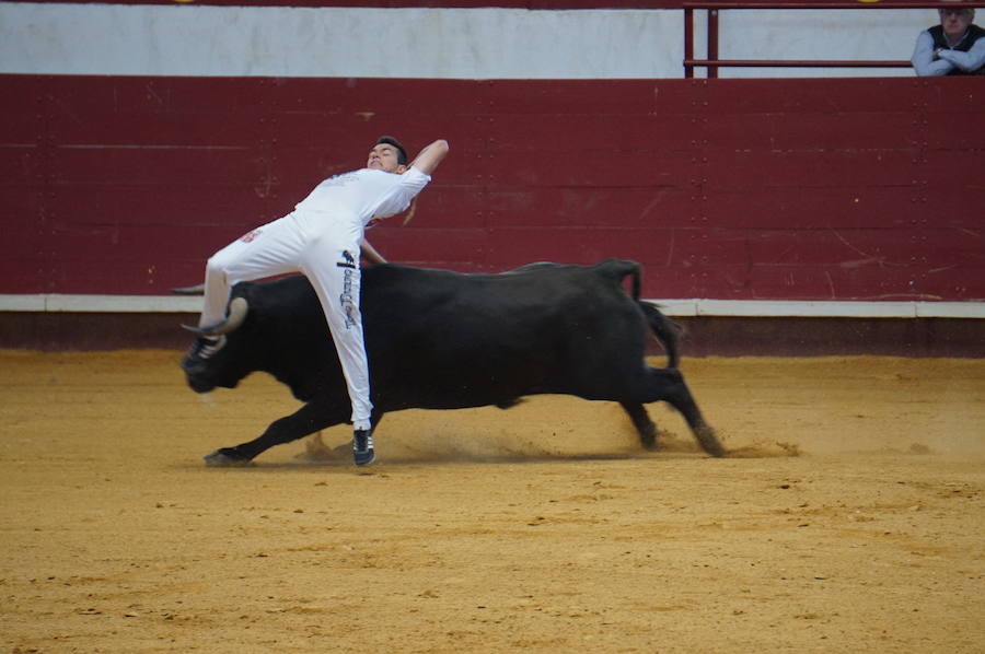 Fotos: Concurso de Cortes de La Flecha