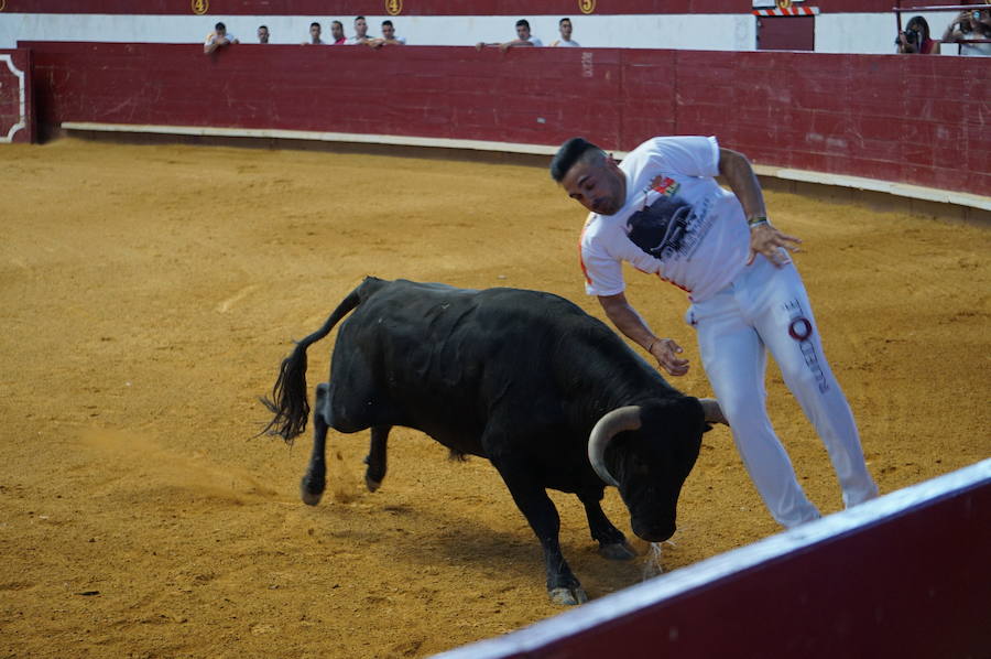 Fotos: Concurso de Cortes de La Flecha