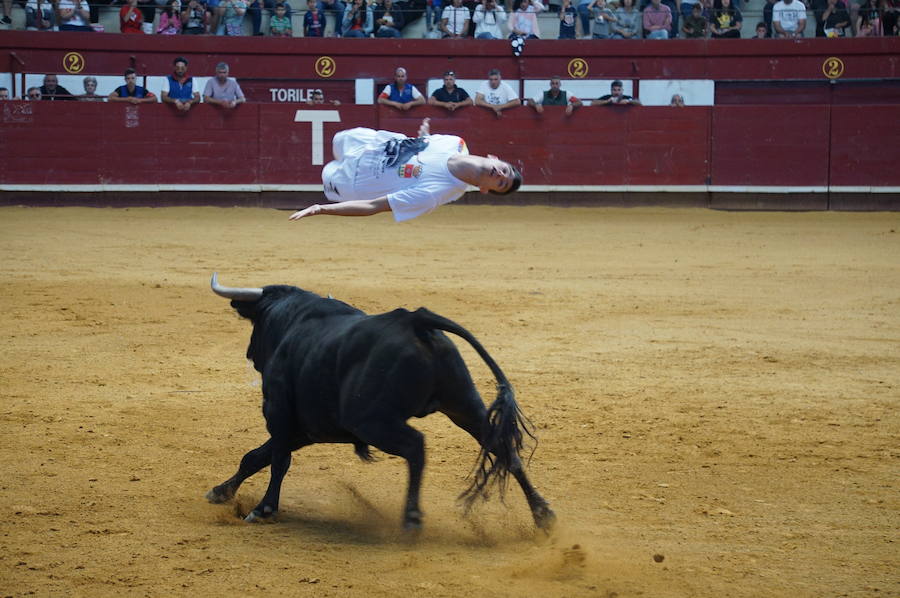 Fotos: Concurso de Cortes de La Flecha