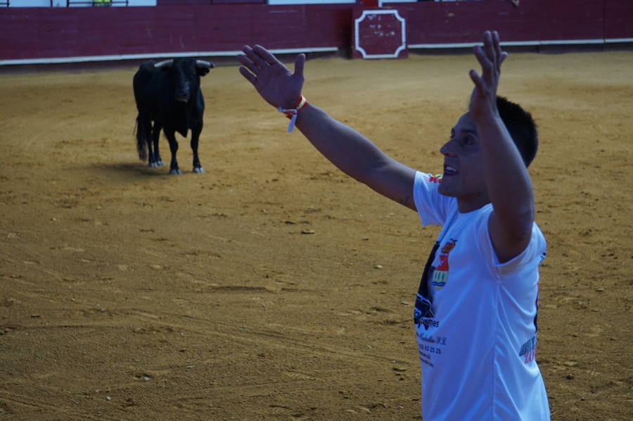 Fotos: Concurso de Cortes de La Flecha