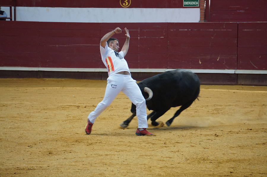 Fotos: Concurso de Cortes de La Flecha