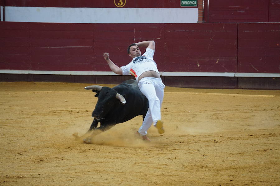 Fotos: Concurso de Cortes de La Flecha