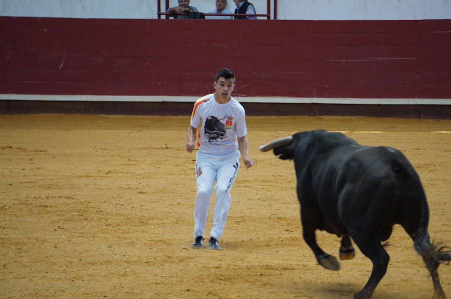 Fotos: Concurso de Cortes de La Flecha