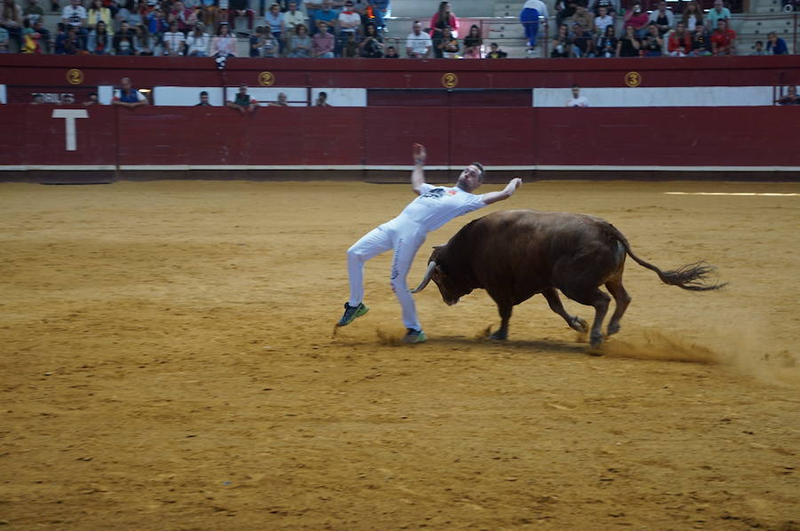 Fotos: Concurso de Cortes de La Flecha