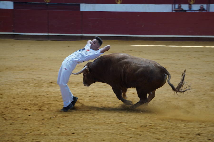 Fotos: Concurso de Cortes de La Flecha