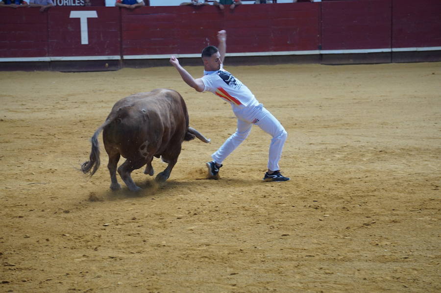 Fotos: Concurso de Cortes de La Flecha