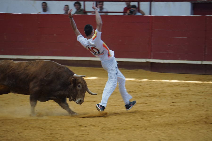 Fotos: Concurso de Cortes de La Flecha