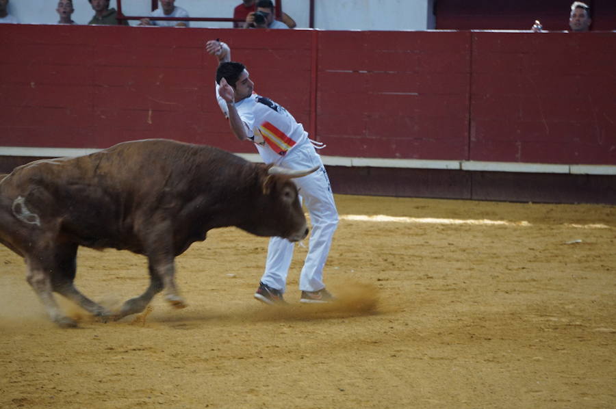 Fotos: Concurso de Cortes de La Flecha