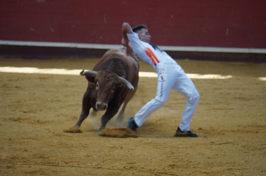 Fotos: Concurso de Cortes de La Flecha