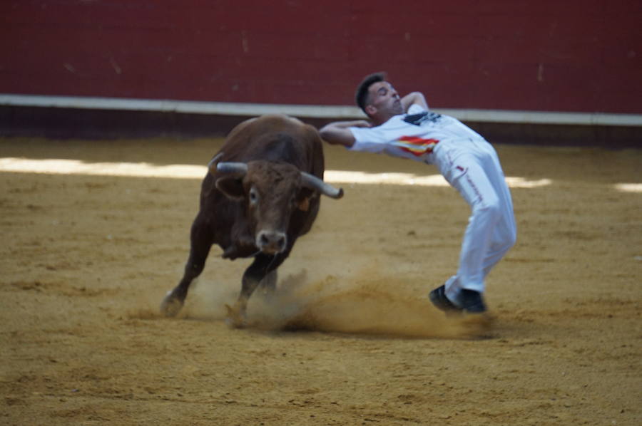 Fotos: Concurso de Cortes de La Flecha