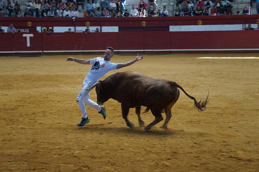 Fotos: Concurso de Cortes de La Flecha