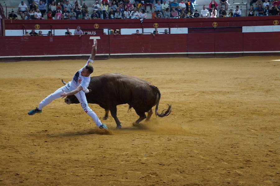 Fotos: Concurso de Cortes de La Flecha