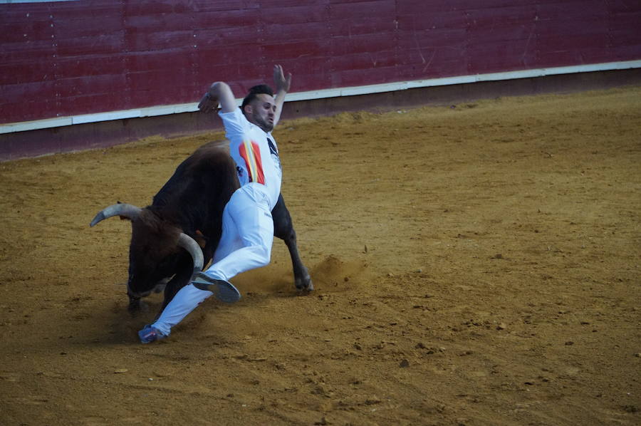 Fotos: Concurso de Cortes de La Flecha