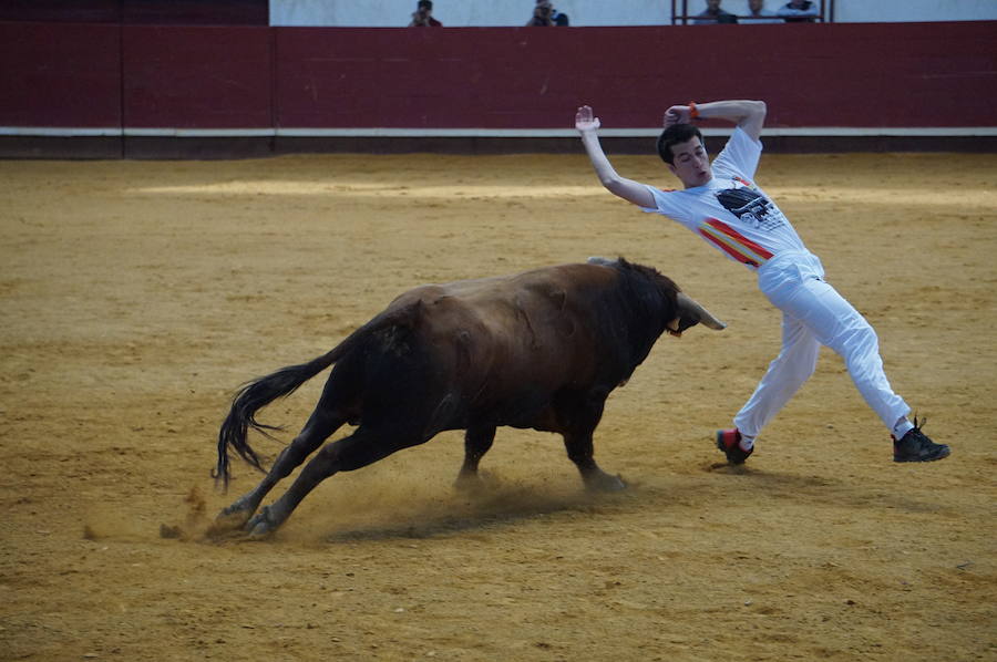 Fotos: Concurso de Cortes de La Flecha