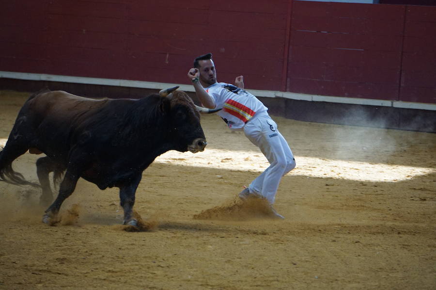 Fotos: Concurso de Cortes de La Flecha