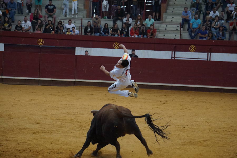 Fotos: Concurso de Cortes de La Flecha