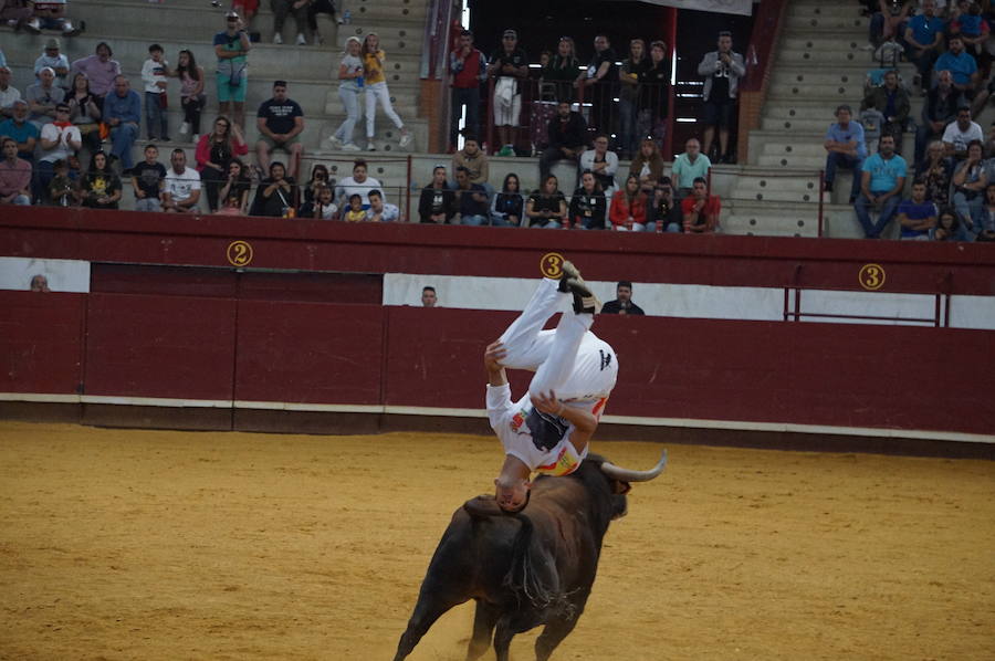 Fotos: Concurso de Cortes de La Flecha