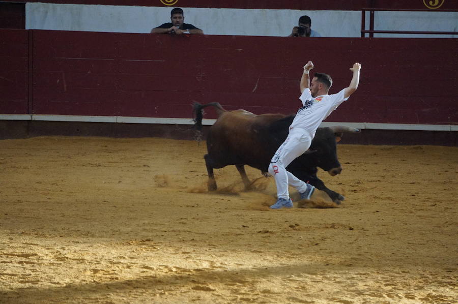 Fotos: Concurso de Cortes de La Flecha