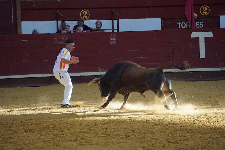 Fotos: Concurso de Cortes de La Flecha