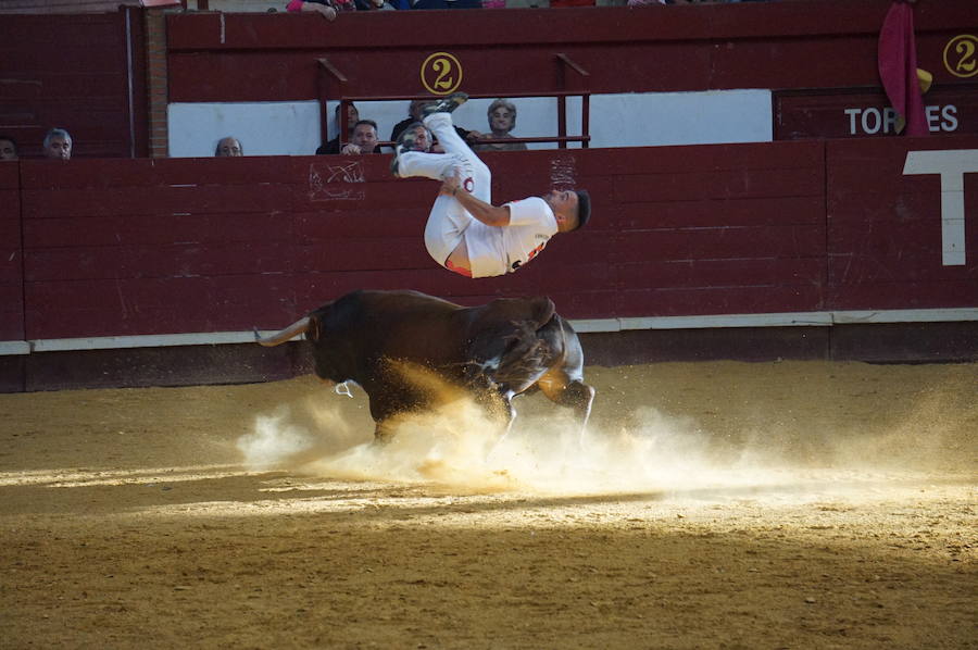 Fotos: Concurso de Cortes de La Flecha