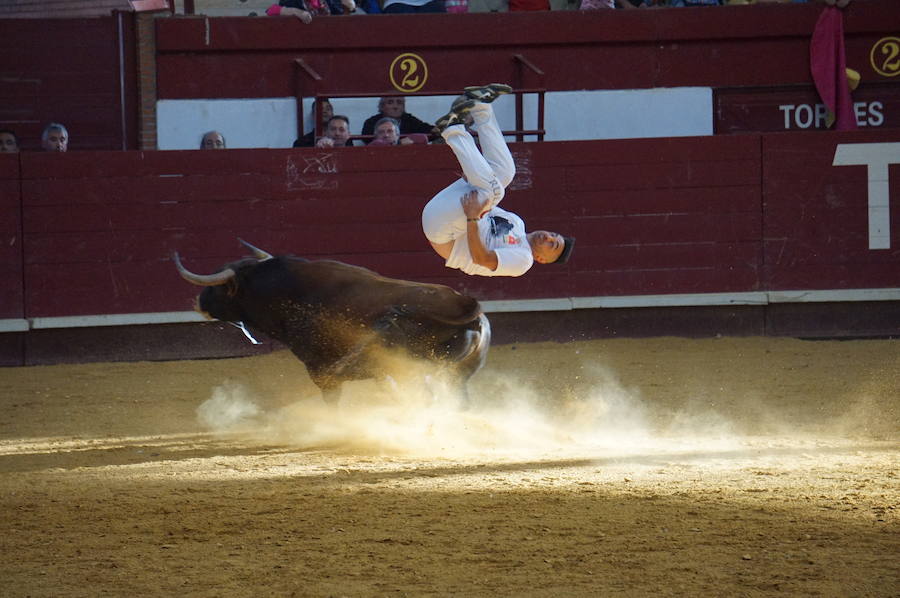 Fotos: Concurso de Cortes de La Flecha