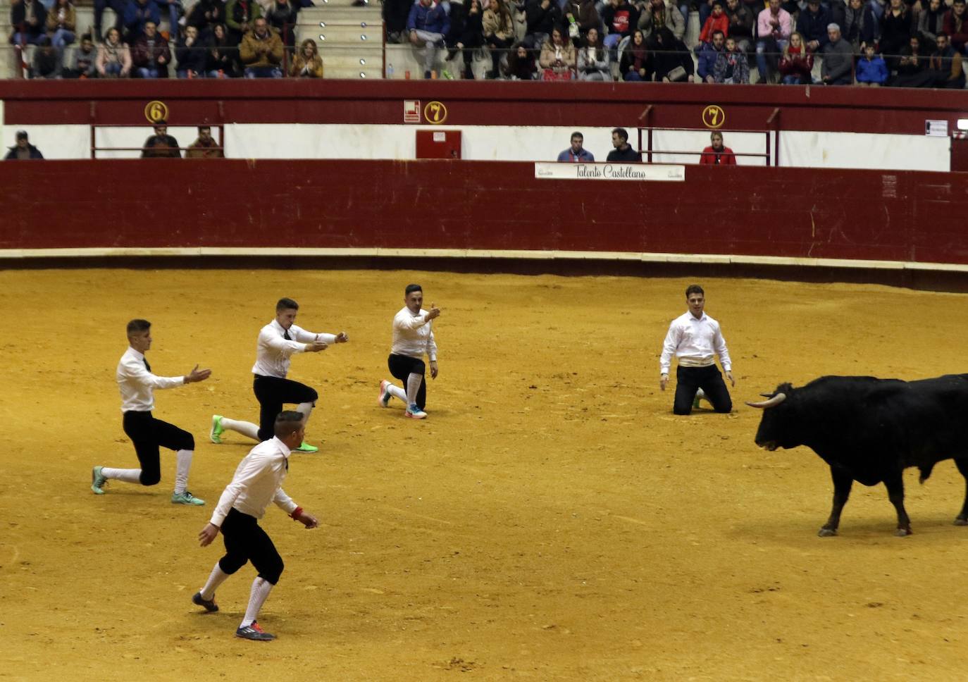 Fotos: Final del concurso de cortes Castellano de Oro en La Flecha