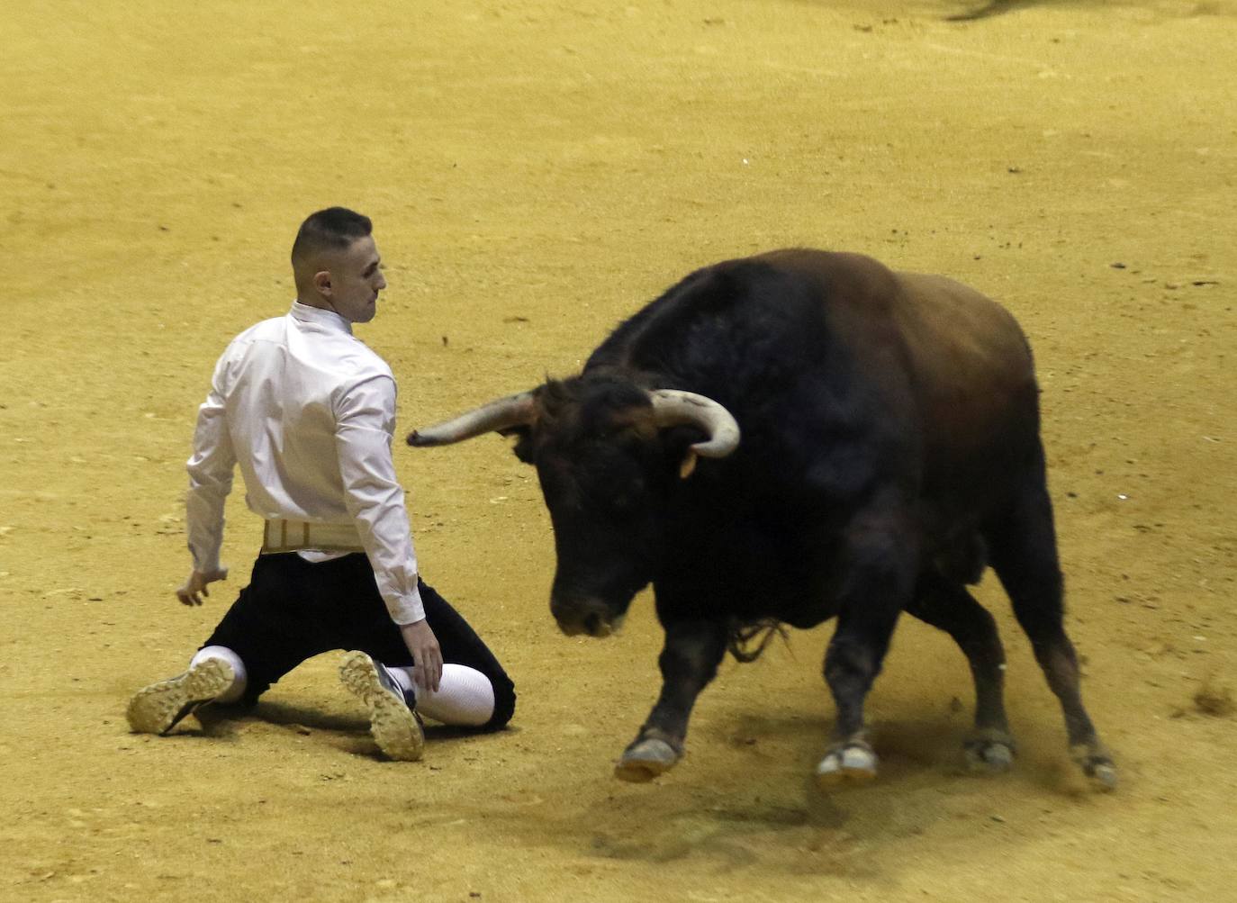 Fotos: Final del concurso de cortes Castellano de Oro en La Flecha