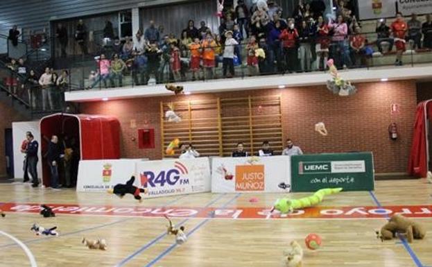 Tradicional lluvia de peluches navideña en el descanso del partido sobre el parqué del polideportivo La Vega. 