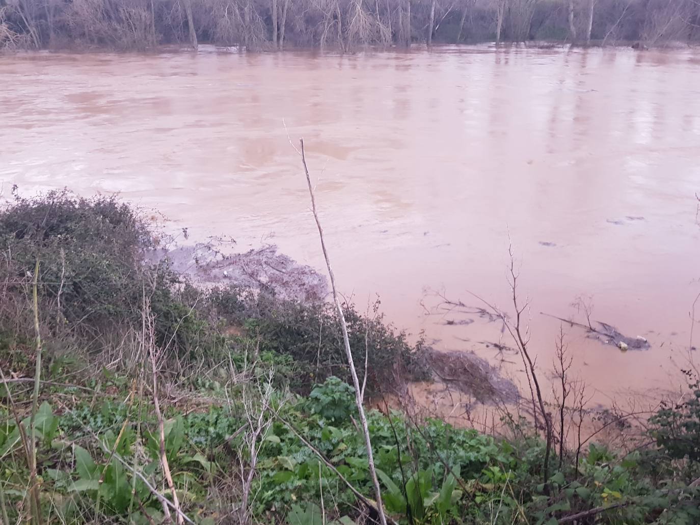 Fotos: Las consecuencias del temporal a su paso por Arroyo