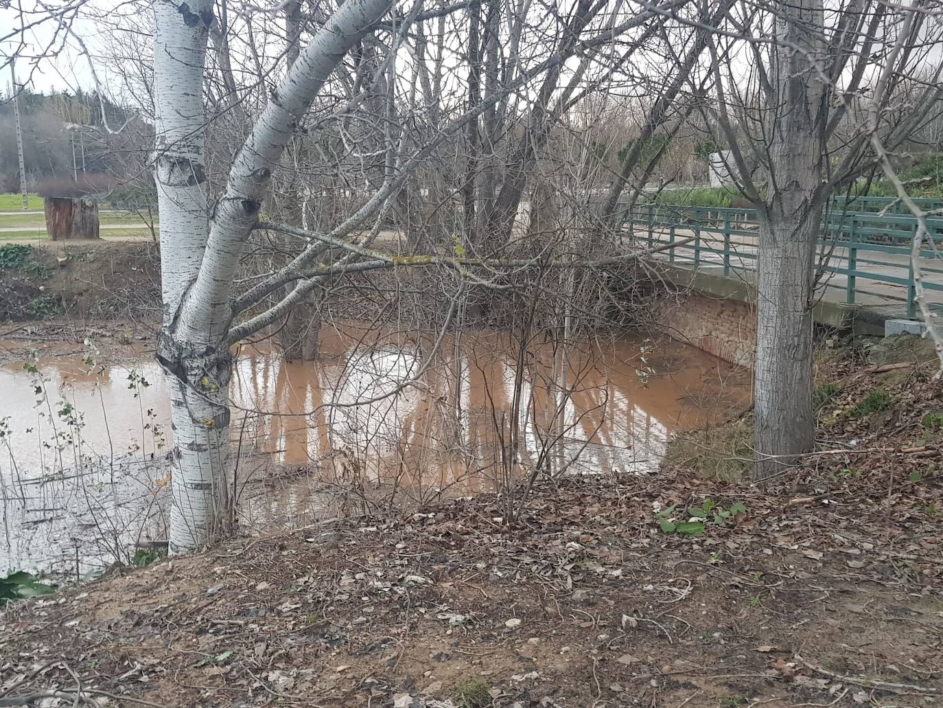 Fotos: Las consecuencias del temporal a su paso por Arroyo