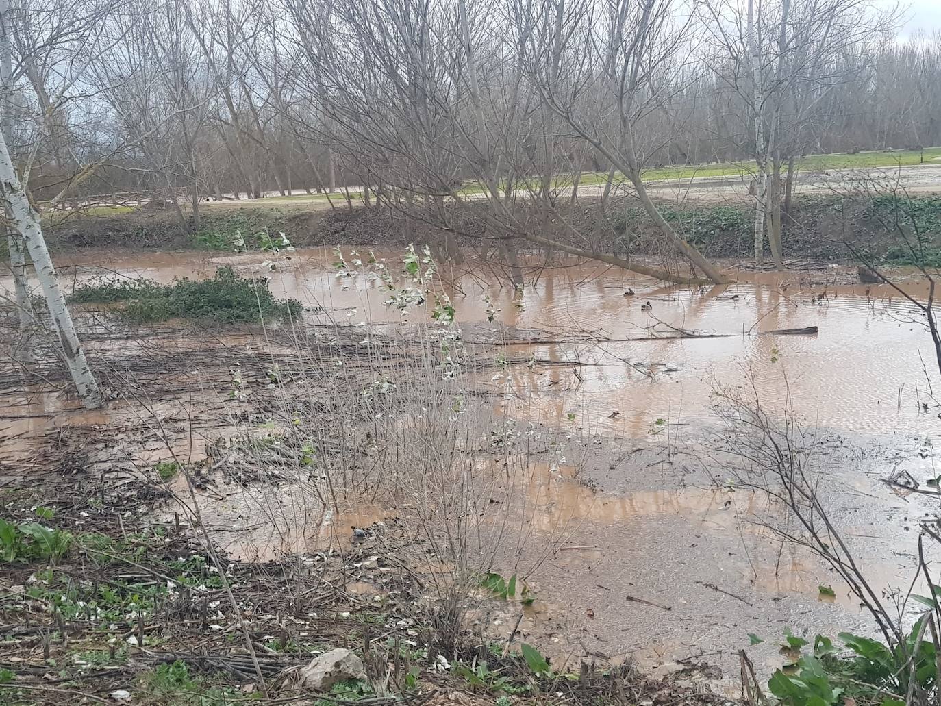 Fotos: Las consecuencias del temporal a su paso por Arroyo