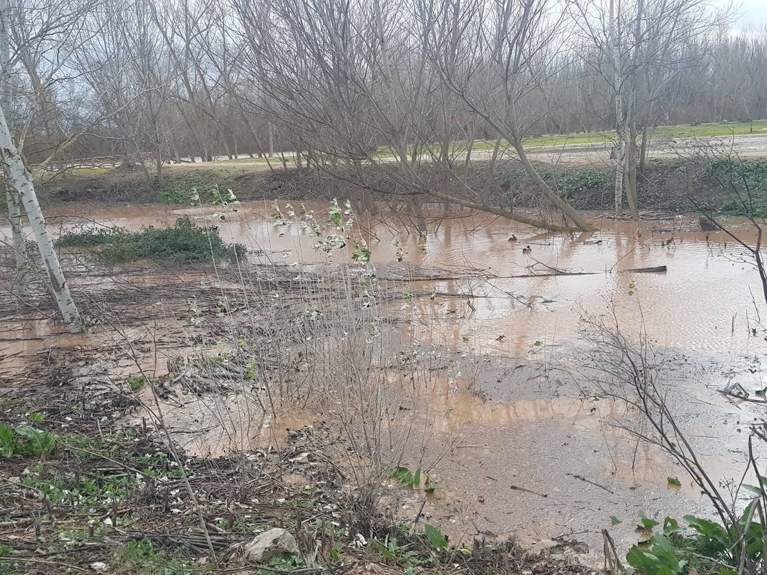 Fotos: Las consecuencias del temporal a su paso por Arroyo
