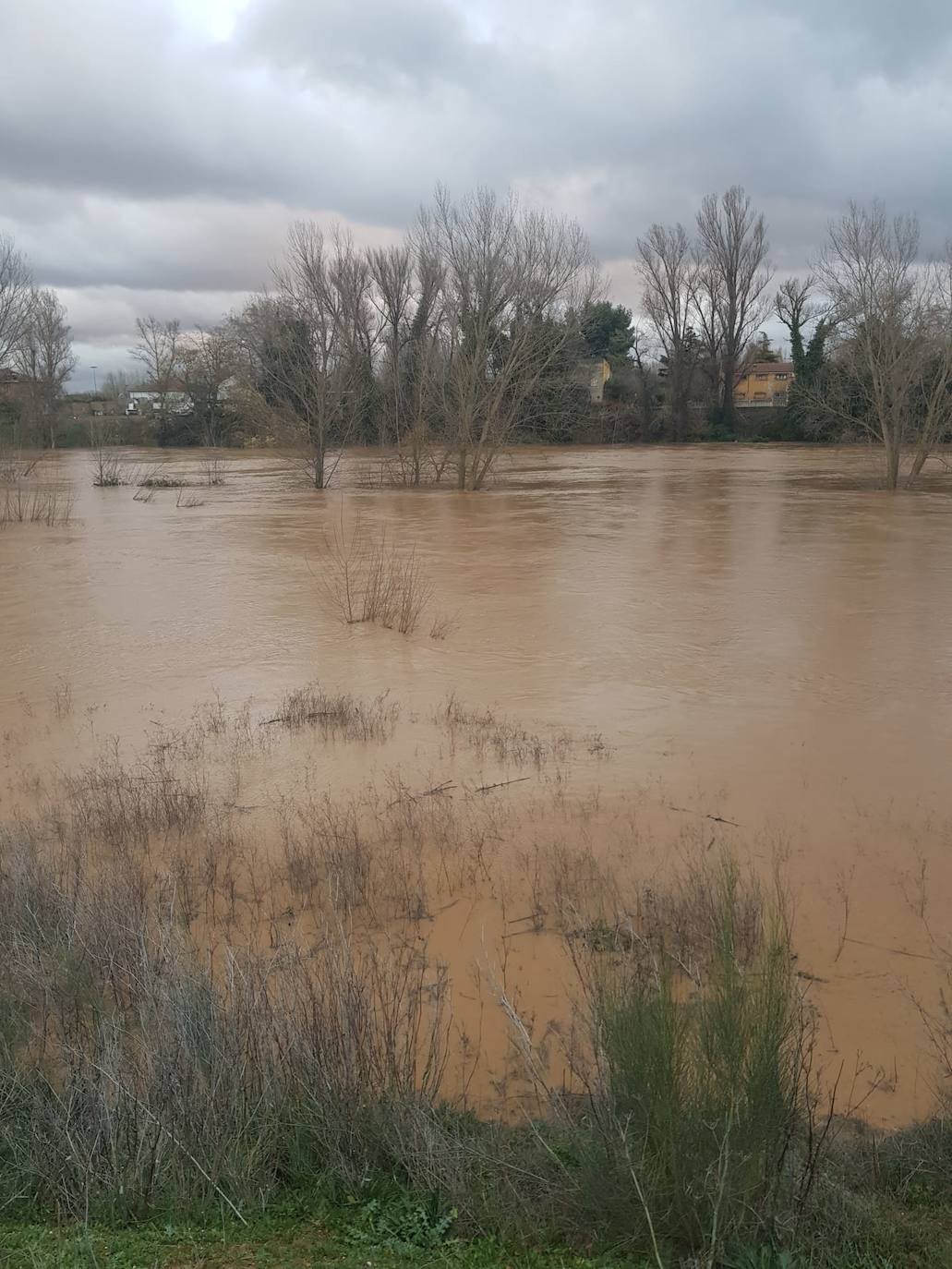 Fotos: Las consecuencias del temporal a su paso por Arroyo