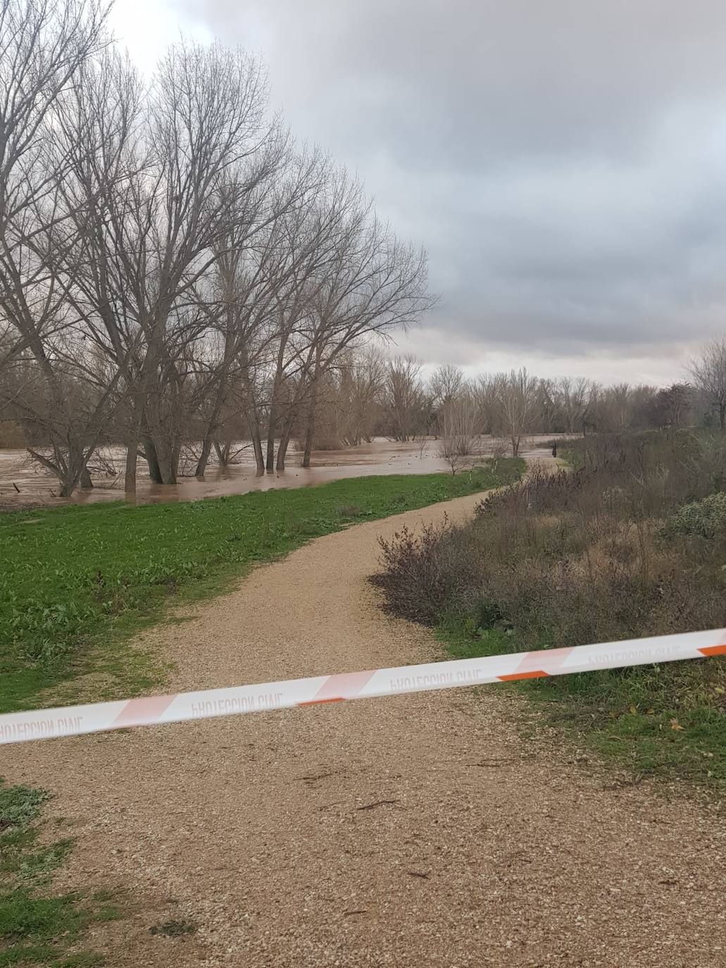 Fotos: Las consecuencias del temporal a su paso por Arroyo