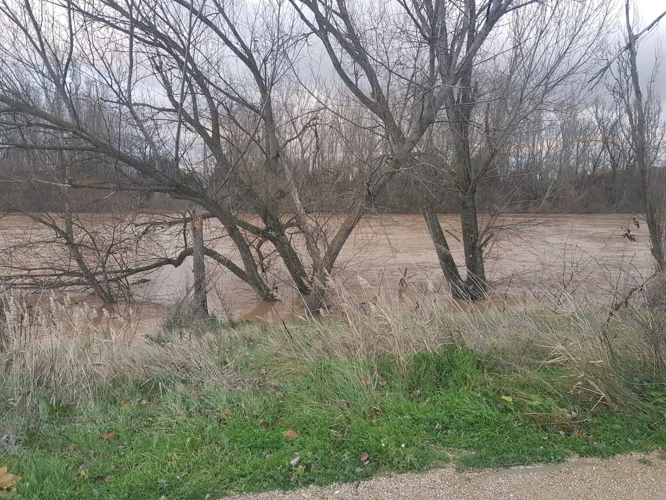 Fotos: Las consecuencias del temporal a su paso por Arroyo
