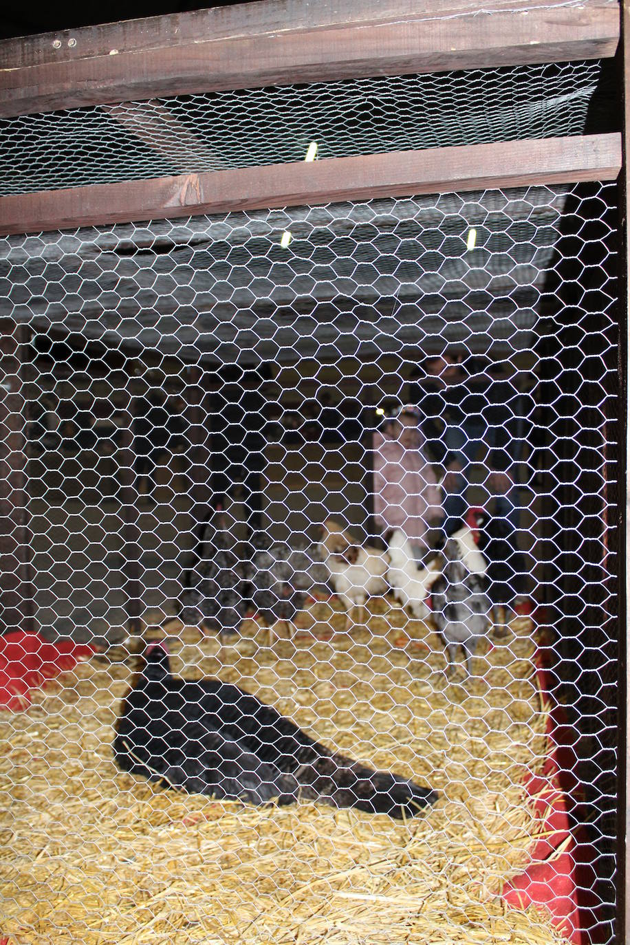 Adoración de los Reyes Magos al Niño Jesús en el portal de Belén. 